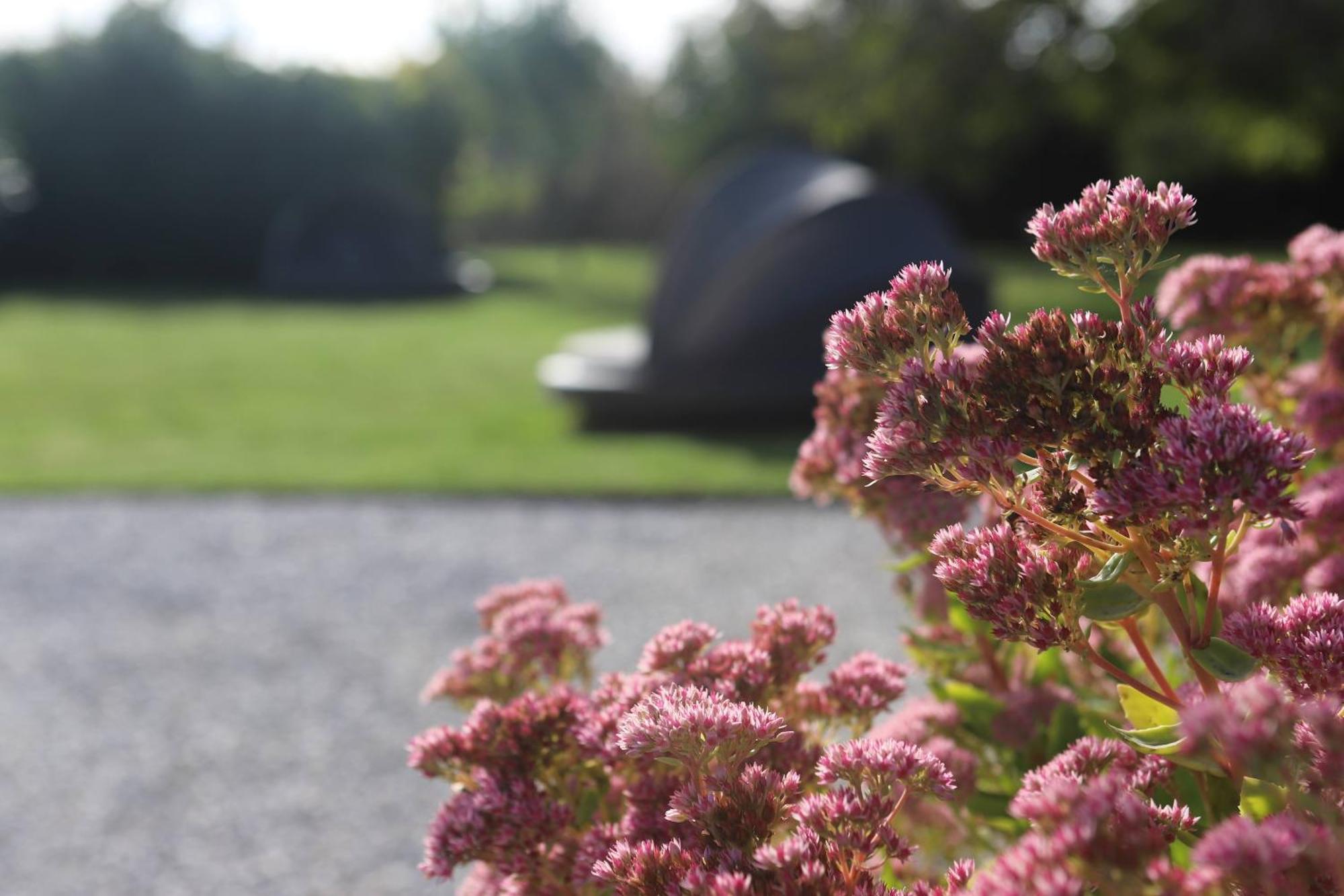 The Secret Garden - Keszthely Bed & Breakfast Eksteriør bilde